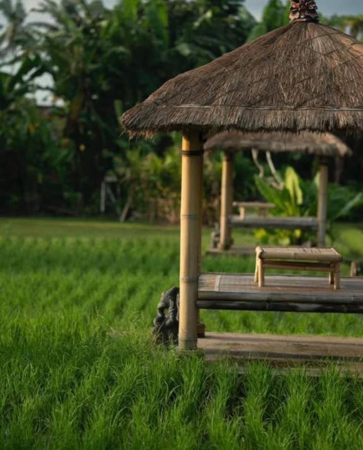 Rumah Kita Ecolodge Ubud Exterior foto